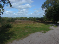 Whitmoor Common